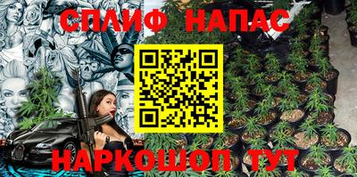 индика Гусь-Хрустальный
