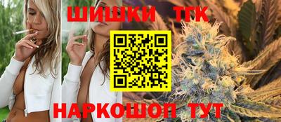 индика Гусь-Хрустальный