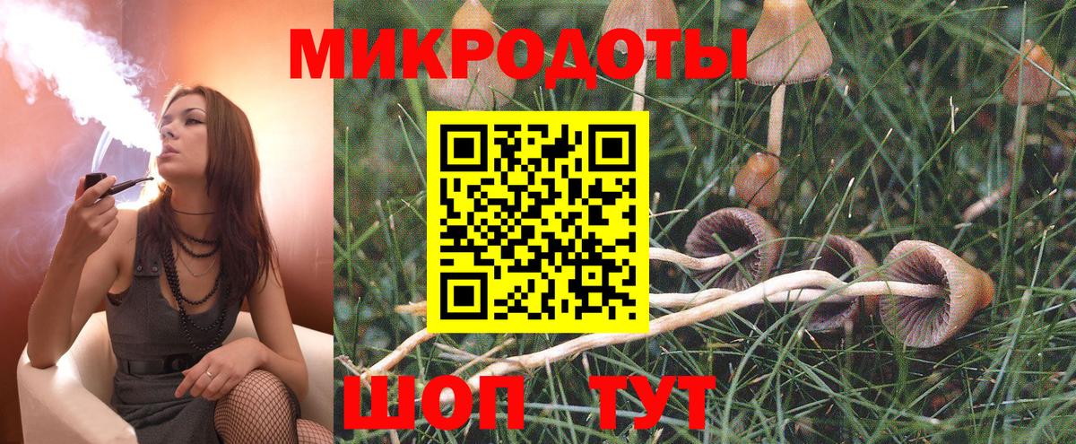 Галлюциногенные грибы Psilocybe Кирово-Чепецк