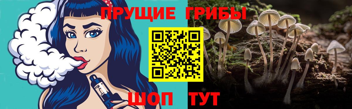 Кирово-Чепецк  Псилоцибиновые грибы прущие грибы  цена   Вход с VPN  Псилоцибиновые грибы Cubensis 